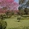 Cubbon Park