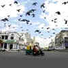 Article image for: <i class="tbold">Earthquake</i> hits north India, no casualties reported