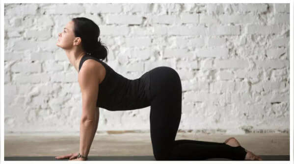 Cat-Cow Pose (Marjaryasana-Bitilasana)