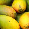 Improves digestion and taste