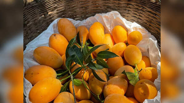 Why soak mangoes?