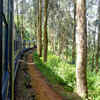 Nilgiri Mountain Railway, Tamil Nadu