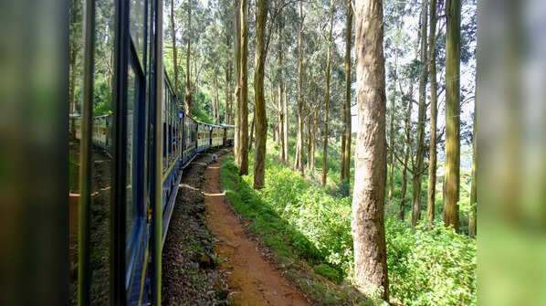 Nilgiri Mountain Railway, Tamil Nadu