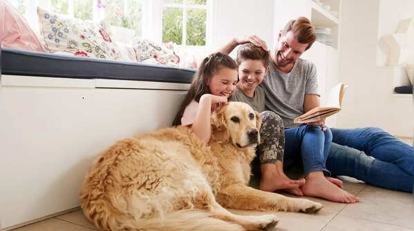 Big dog breeds suitable for children