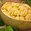 Rich in energy, not just calories