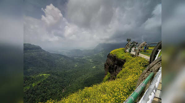 Western Ghats (Maharashtra, Kerala, Karnataka, Tamil Nadu)
