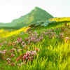 Valley of Flowers, Uttarakhand