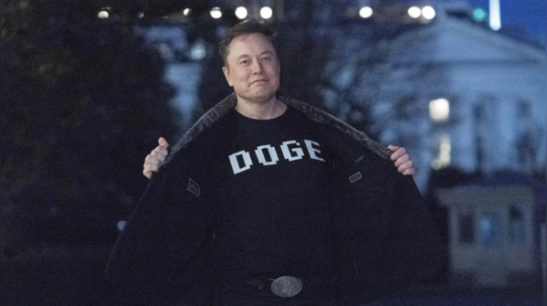 Doge takes the spotlight