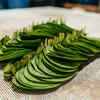 What does Ayurveda say?