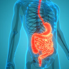 Great for digestion