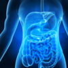 Gentle on digestion