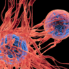 What is cancer?