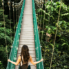Forest Canopy Walks