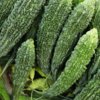 Karela 