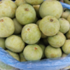 Tinda 