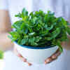 Mint leaves