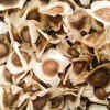 Make Moringa your hair growth ritual