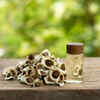 Combining Moringa with other herbs