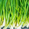 Green onions