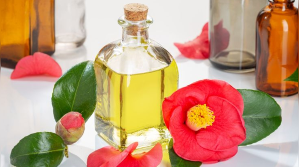 The magical oil: Japanese camellia oil