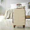 Checked Luggage