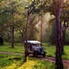 Nagarhole Tiger Reserve, Karnataka 