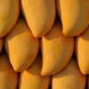Article image for: Noorjahan Mango