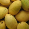 Chaunsa Mango 