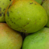 Bombay Green Mango