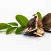 The miracle seed!