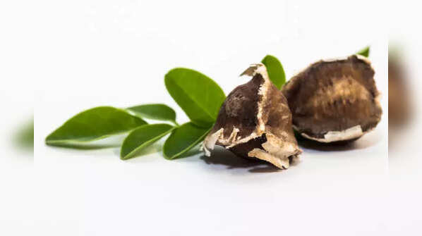 The miracle seed!