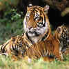Rudra, Satpura (Madhya Pradesh)