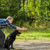 Trainability