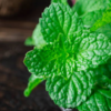 Fights inflammation and boosts immunity 