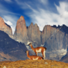 Torres del Paine National Park (Chile)
