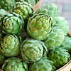 Artichoke