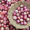 Onion