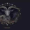 Capricorn