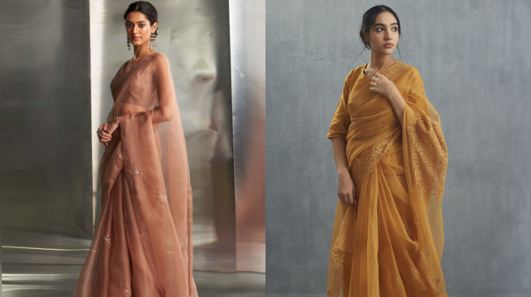 Organza sarees: A sheer, delicate charm