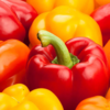 Red and yellow bell peppers