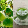 Article image for: Nutrients in <i class="tbold">ash gourd</i>