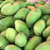 Why raw mango?
