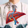 How to keep the liver healthy 