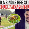 Article image for: Did a Bee Sting Trigger Sunjay Kapur’s Fatal Heart Attack?