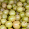 Article image for: <i class="tbold">indian gooseberry</i>