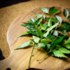 Neem leaves