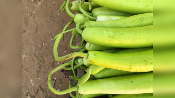 Lauki (bottle gourd)