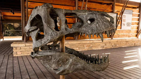 Deinosuchus