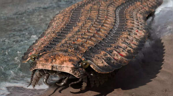 Arthropleura