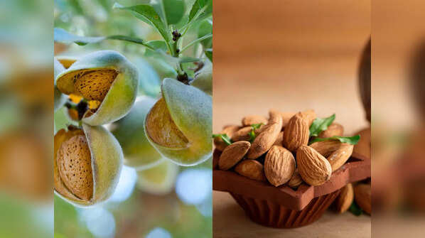 Is Green Almond better than regular almonds?